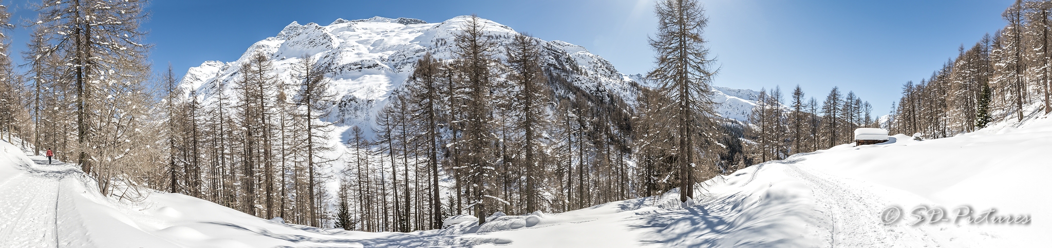 WEB  DP 2188 Pano als Smartobjekt 1 Kopie